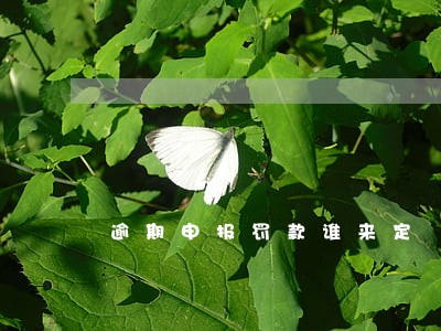 逾期申报罚款谁来定
