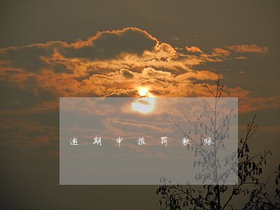 逾期申报罚款账