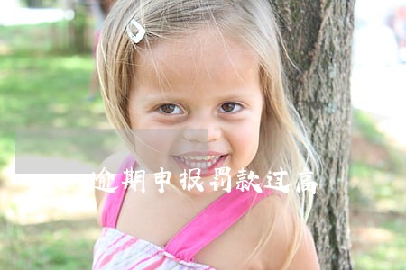 逾期申报罚款过高 逾期申报罚款过高