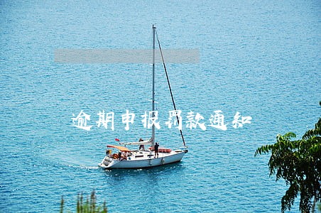 逾期申报罚款通知
