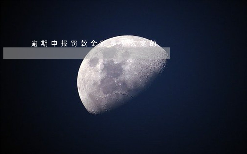 逾期申报罚款金额是怎么定的 逾期申报罚款金额是怎么定的