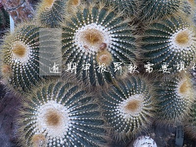 逾期申报罚款需要填什么资料