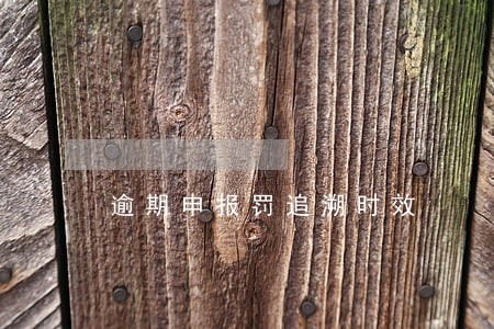逾期申报罚追溯时效