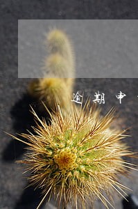 逾期申报罚钱减免 逾期申报罚钱减免