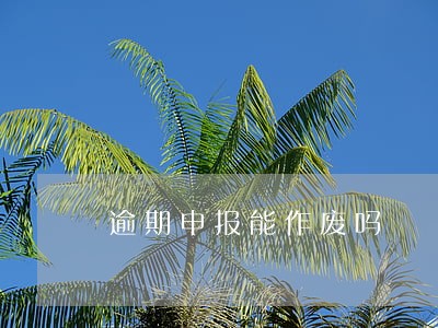 逾期申报能作废吗 逾期申报能作废吗