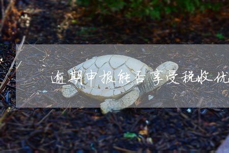 逾期申报能否享受税收优惠 逾期申报能否享受税收优惠