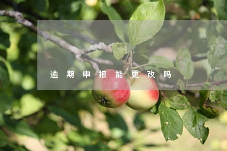 逾期申报能更改吗 逾期申报能更改吗