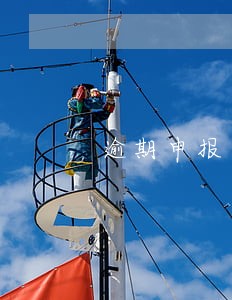 逾期申报补办纳税申报 逾期申报补办纳税申报