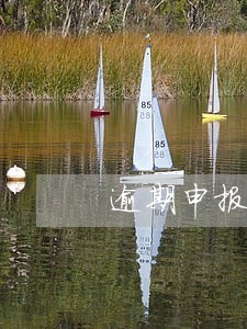 逾期申报补报后多久正常 逾期申报补报后多久正常