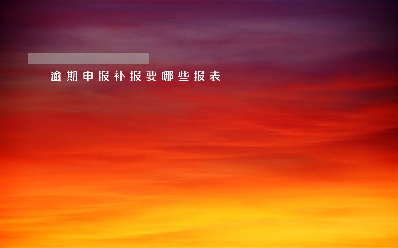 逾期申报补报要哪些报表 逾期申报补报要哪些报表