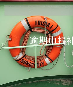 逾期申报补申报怎么申报