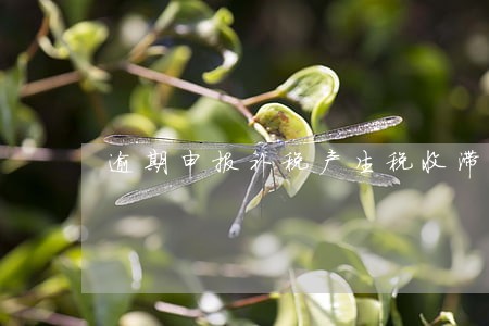 逾期申报补税产生税收滞纳金