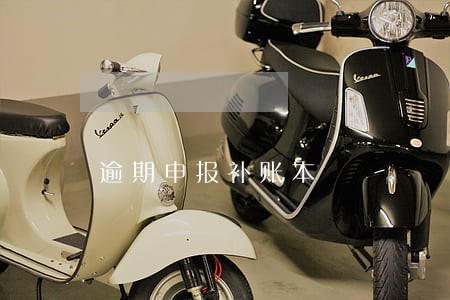 逾期申报补账本 逾期申报补账本