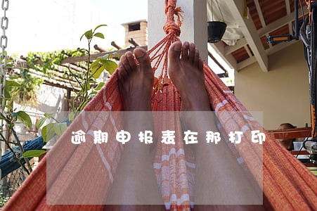 逾期申报表在那打印