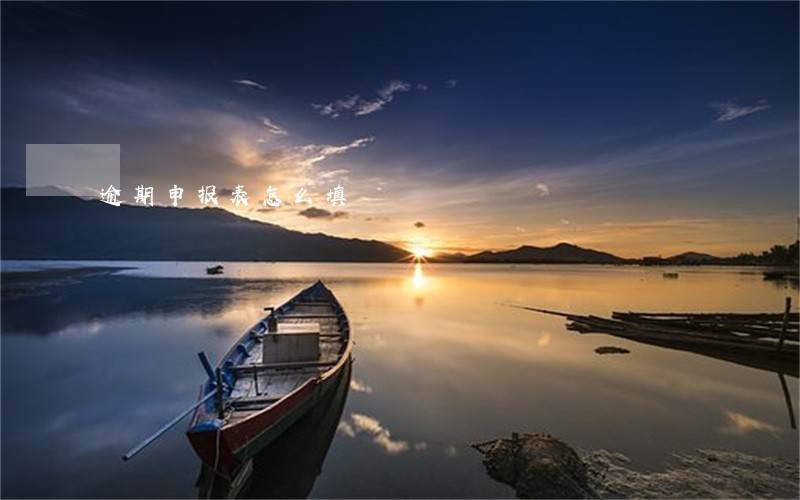 逾期申报表怎么填 逾期申报表怎么填