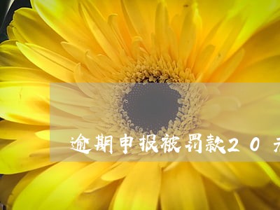 逾期申报被罚款20元 逾期申报被罚款20元