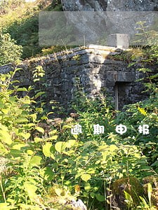 逾期申报要准备什么 逾期申报要准备什么