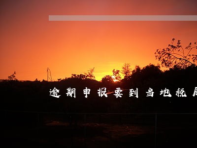 逾期申报要到当地税局申报吗 逾期申报要到当地税局申报吗