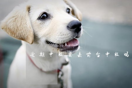 逾期申报要去前台申报吗 逾期申报要去前台申报吗