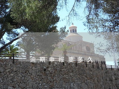 逾期申报要多久