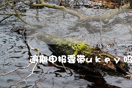 逾期申报要带ukey吗 逾期申报要带ukey吗