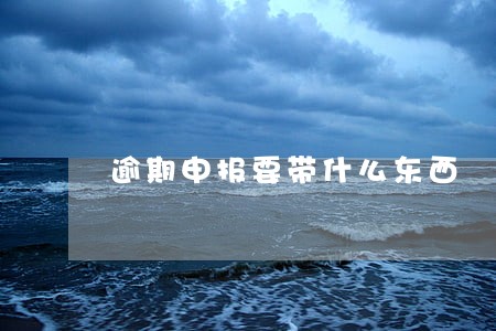 逾期申报要带什么东西 逾期申报要带什么东西