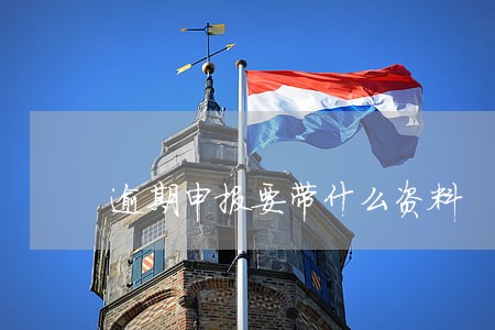 逾期申报要带什么资料