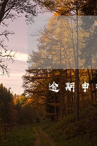 逾期申报要带什么资料去国税 逾期申报要带什么资料去国税