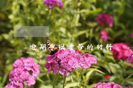 逾期申报要带的材料 逾期申报要带的材料