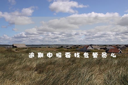 逾期申报要找专管员么