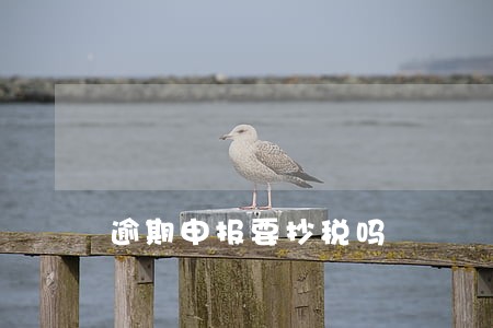 逾期申报要抄税吗 逾期申报要抄税吗