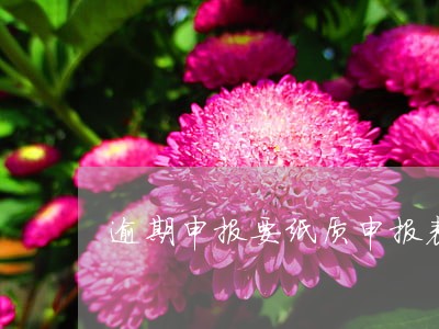逾期申报要纸质申报表