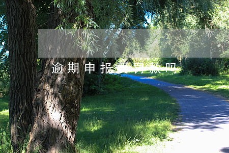 逾期申报要罚款吗 逾期申报要罚款吗