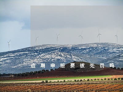 逾期申报要被处罚吗 逾期申报要被处罚吗