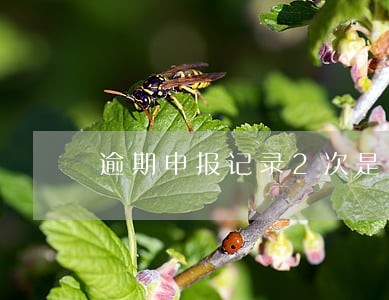 逾期申报记录2次是什么意思 逾期申报记录2次是什么意思