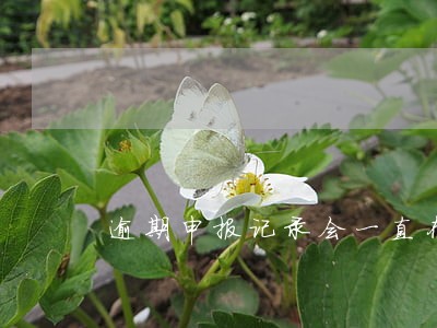 逾期申报记录会一直存在吗 逾期申报记录会一直存在吗