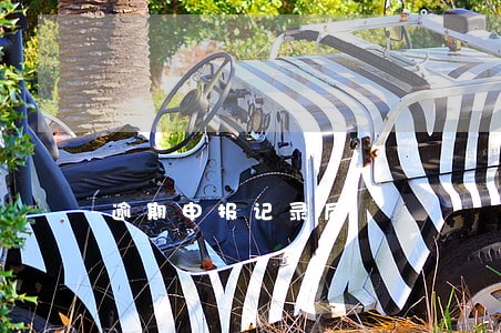 逾期申报记录后 逾期申报记录后