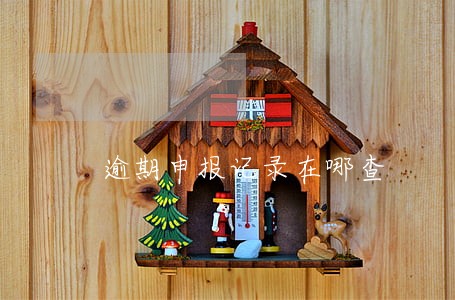 逾期申报记录在哪查 逾期申报记录在哪查
