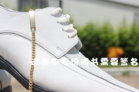 逾期申报说明书需要签名吗 逾期申报说明书需要签名吗