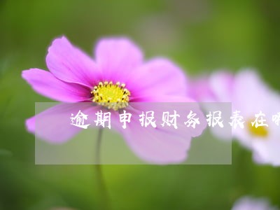 逾期申报财务报表在哪里申报
