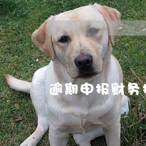 逾期申报财务报表大厅申报 逾期申报财务报表大厅申报