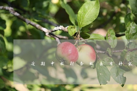 逾期申报财务报表有什么影响 逾期申报财务报表有什么影响