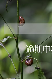 逾期申报责令改正期限一般几天 逾期申报责令改正期限一般几天