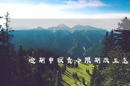 逾期申报责令限期改正怎么处理 逾期申报责令限期改正怎么处理