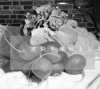 逾期申报账务处理 逾期申报账务处理