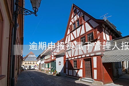 逾期申报费属于管理人报酬吗 逾期申报费属于管理人报酬吗