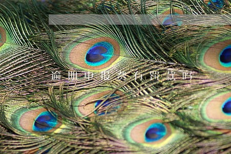 逾期申报费有罚款吗 逾期申报费有罚款吗