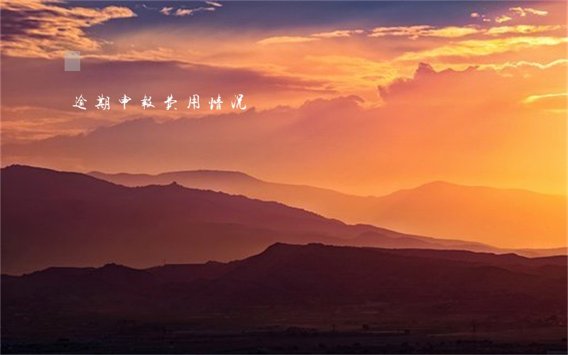 逾期申报费用情况 逾期申报费用情况