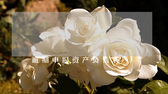 逾期申报资产负债表 逾期申报资产负债表