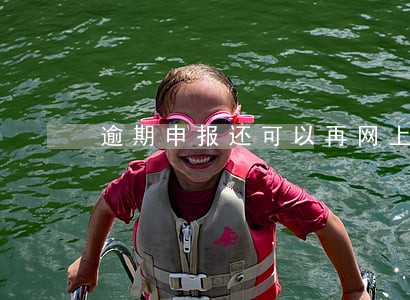 逾期申报还可以再网上申报吗